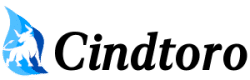 Cindtoro Digital Marketing Agency Logo